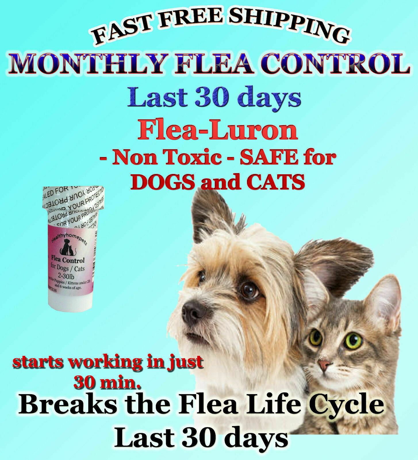 1 Year Supply Monthly Flea Control For Dogs / Cats 2-30lbs.165mg 12 Capsules New