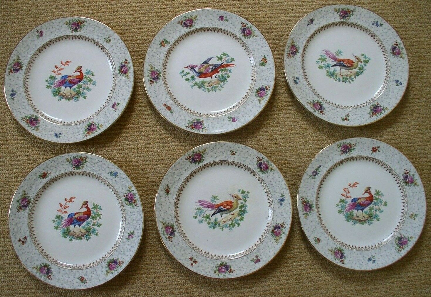 6 Booth's Silicon China 8" Plates  Exotic Birds