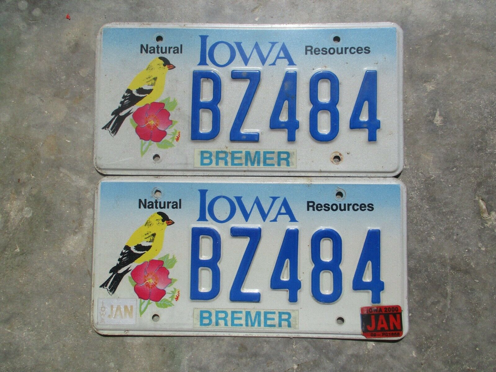 Iowa 2000 Bird License Plate #  Bz484